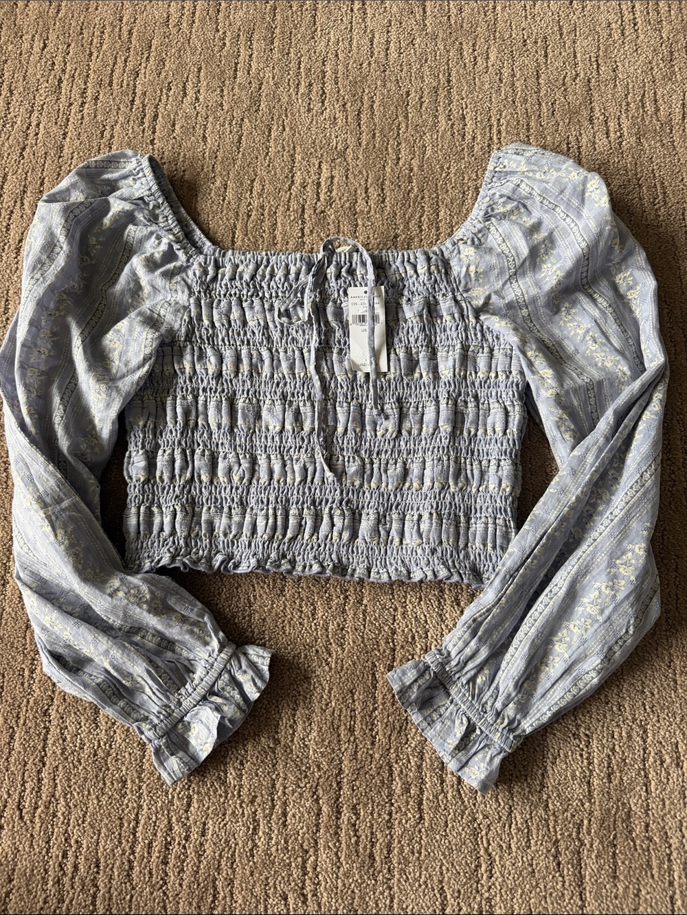 American Eagle Outfitters Pale Blue Smocked Puff-Sleeve Crop Top
